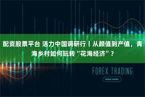 配资股票平台 活力中国调研行丨从颜值到产值，青海乡村如何玩转“花海经济”？