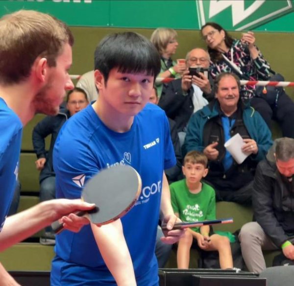 配资炒股投资 德甲第一阶段结束，樊振东将回国备战全运会